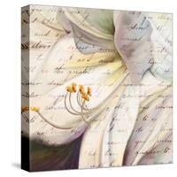 Lily Script I-Patricia Pinto-Stretched Canvas