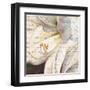 Lily Script I-Patricia Pinto-Framed Art Print