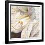 Lily Script I-Patricia Pinto-Framed Art Print