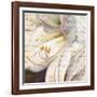 Lily Script I-Patricia Pinto-Framed Art Print