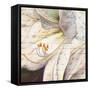 Lily Script I-Patricia Pinto-Framed Stretched Canvas