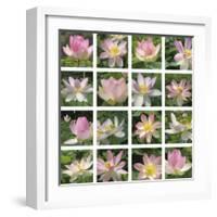 Lily Squares-Malcolm Sanders-Framed Giclee Print