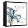 Lily Strength-Albert Koetsier-Framed Stretched Canvas