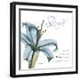 Lily Strength-Albert Koetsier-Framed Photographic Print