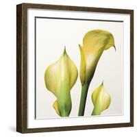 Lily Trio-Bill Philip-Framed Giclee Print