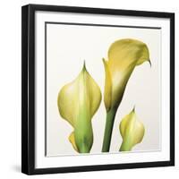 Lily Trio-Bill Philip-Framed Giclee Print