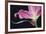 Lily Twilight-Irene Suchocki-Framed Giclee Print