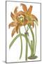 Lily Varieties IV-null-Mounted Art Print