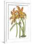Gramercy White