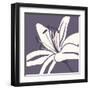 Lily White-Emily Burrowes-Framed Giclee Print