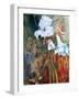 Lily Wilt-jocasta shakespeare-Framed Giclee Print