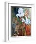 Lily Wilt-jocasta shakespeare-Framed Giclee Print