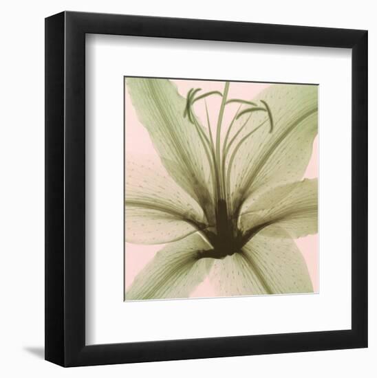 Lily-Steven N^ Meyers-Framed Art Print