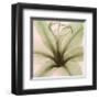 Lily-Steven N^ Meyers-Framed Art Print