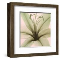 Lily-Steven N^ Meyers-Framed Art Print