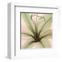 Lily-Steven N^ Meyers-Framed Art Print