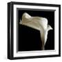 Lily-Michael Harrison-Framed Giclee Print