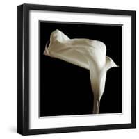 Lily-Michael Harrison-Framed Giclee Print