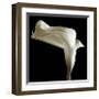 Lily-Michael Harrison-Framed Giclee Print