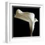 Lily-Michael Harrison-Framed Giclee Print