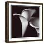 Lily-Bill Philip-Framed Giclee Print