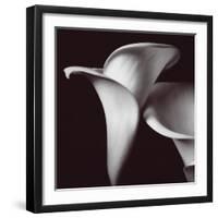 Lily-Bill Philip-Framed Giclee Print