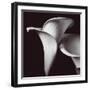 Lily-Bill Philip-Framed Giclee Print