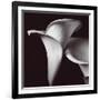 Lily-Bill Philip-Framed Giclee Print