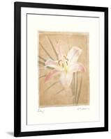 Lily-Amy Melious-Framed Art Print