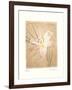 Lily-Amy Melious-Framed Art Print