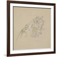 Lily-Albert Williams-Framed Giclee Print