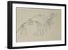 Lily-Albert Williams-Framed Giclee Print