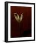 Lily-Johan Lilja-Framed Giclee Print