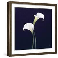 Lily-Lincoln Seligman-Framed Giclee Print