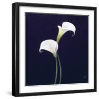 Lily-Lincoln Seligman-Framed Giclee Print