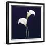 Lily-Lincoln Seligman-Framed Giclee Print