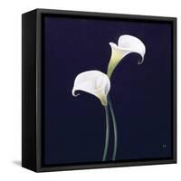 Lily-Lincoln Seligman-Framed Stretched Canvas