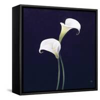 Lily-Lincoln Seligman-Framed Stretched Canvas