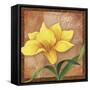 Lily-Fiona Stokes-Gilbert-Framed Stretched Canvas