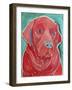 Lily-Lauren Moss-Framed Giclee Print