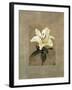 Lily-Andrea Trivelli-Framed Art Print