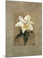 Lily-Andrea Trivelli-Mounted Art Print