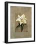 Lily-Andrea Trivelli-Framed Art Print