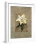 Lily-Andrea Trivelli-Framed Art Print