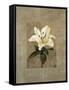 Lily-Andrea Trivelli-Framed Stretched Canvas