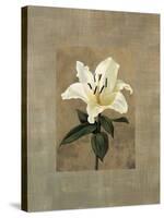 Lily-Andrea Trivelli-Stretched Canvas