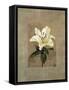 Lily-Andrea Trivelli-Framed Stretched Canvas