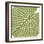 Lilypad-Trish Sierer-Framed Art Print