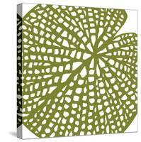 Lilypad-Trish Sierer-Stretched Canvas