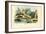 Limax Snail, 1863-79-Raimundo Petraroja-Framed Giclee Print